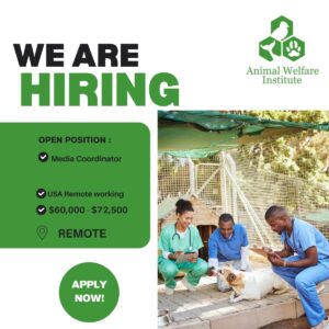 Remote USA Media Coordinator