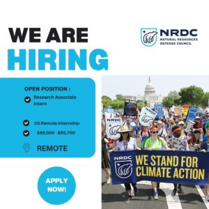 Remote research Associate Intern