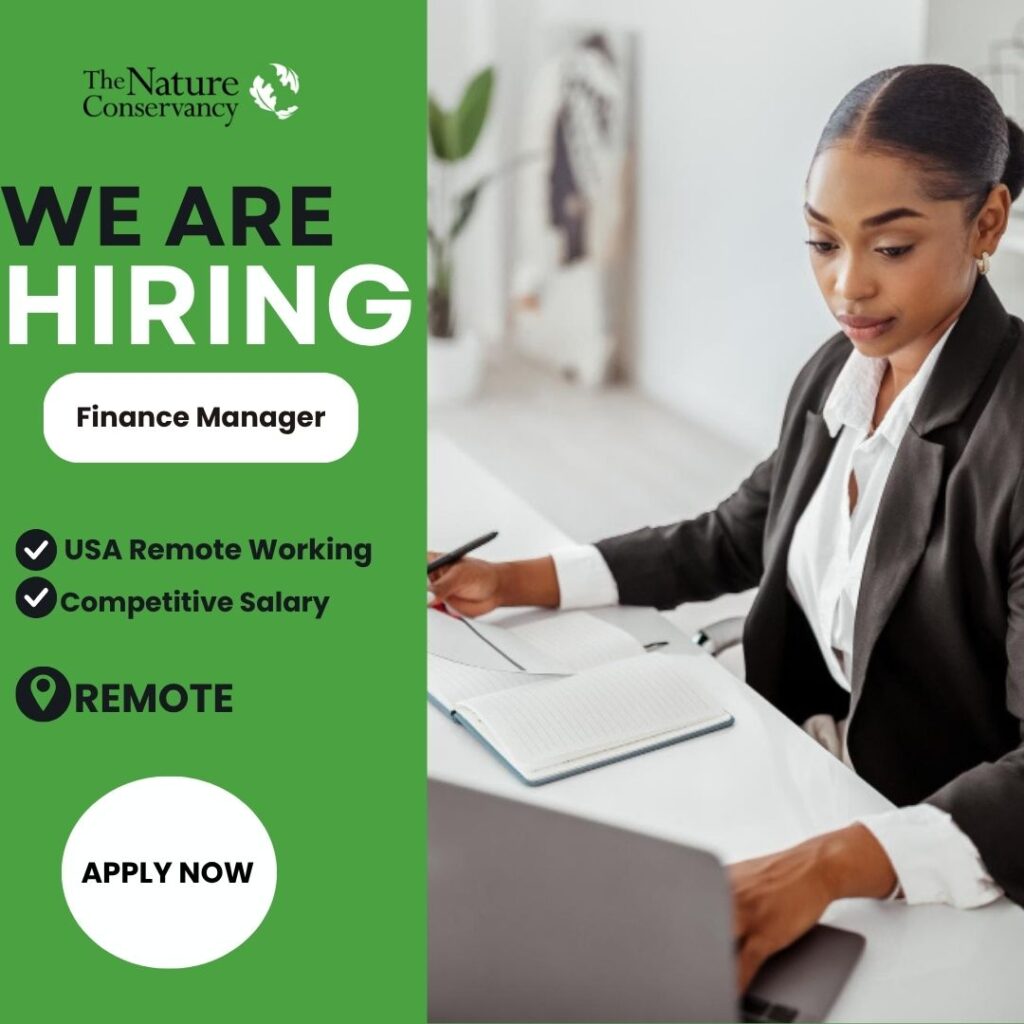 Remote Finance Manager