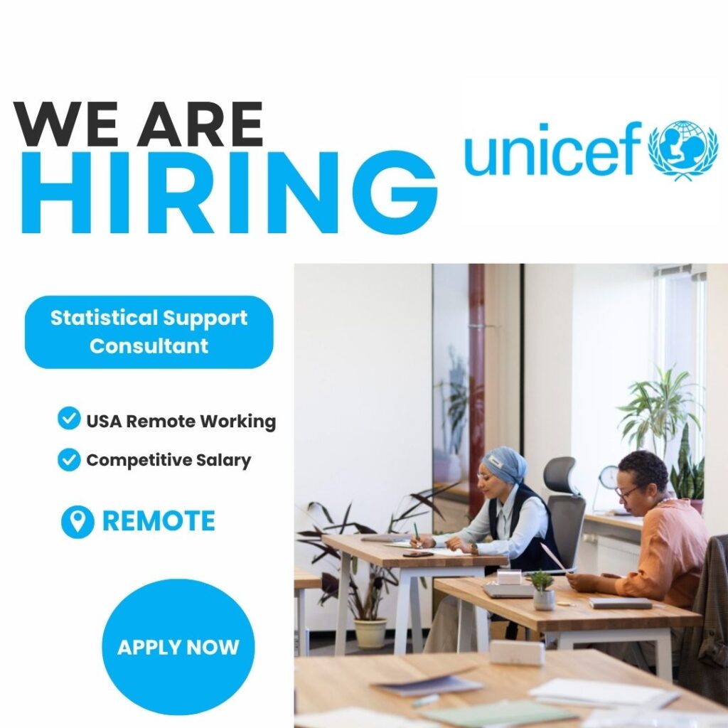 Remote Statistical Support Consultant