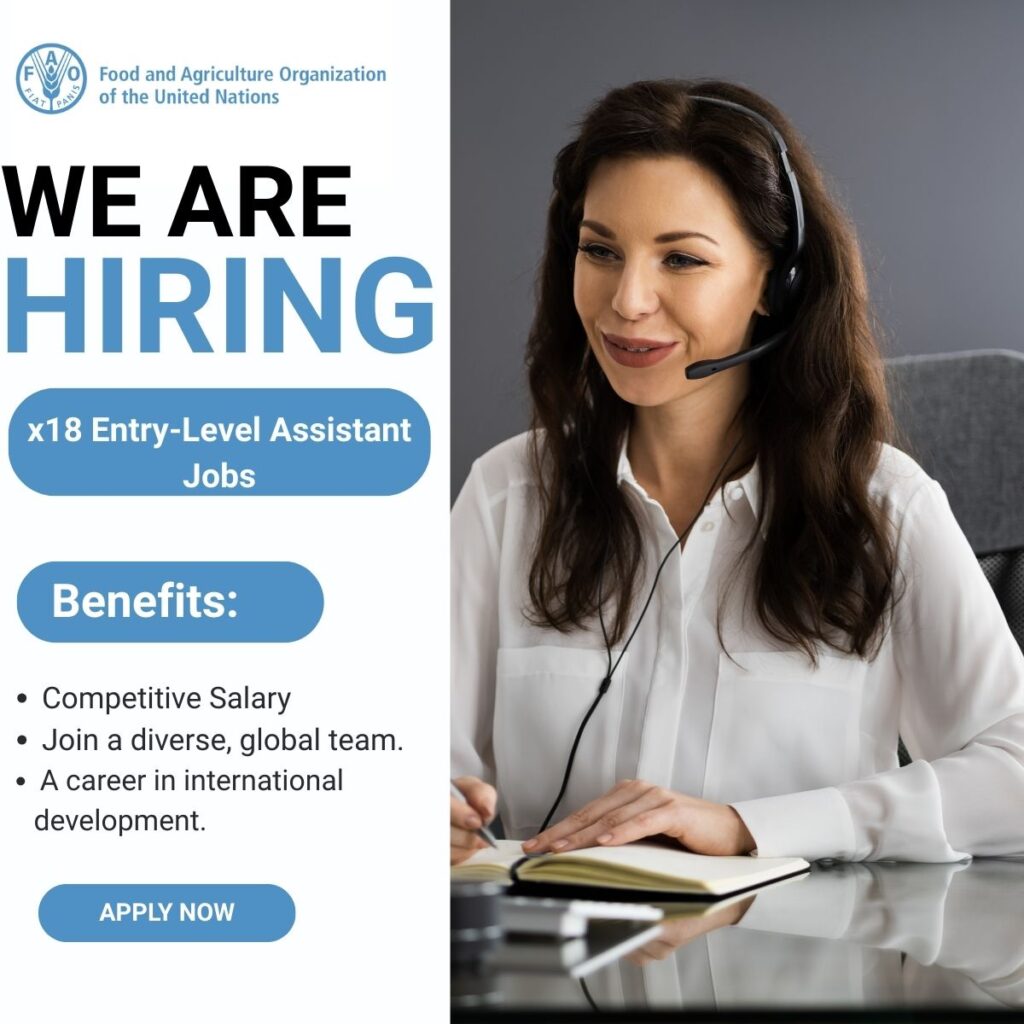 x18 Entry-Level Assistant Jobs